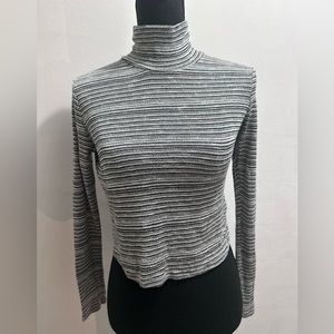 CHARLOTTE RUSSE Striped Turtle Kneck Knit